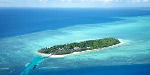 An 11-year-old boy has been bitten by a reef shark off Heron Island.