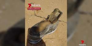 Missing Sydney businesswoman Melissa Caddick’s shoe and foot were found on a South Coast beach.