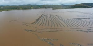 South Coast oyster farms,including Natural Oyster Co,were inundated by rainfall last week,impacting oyster supplies. 