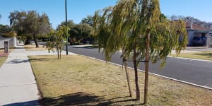 Perth's low-shade suburbs join national'urban heat island'study