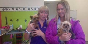 Pistol and Boo,with dog groomers Lianne and Ellie Kent,who unwittingly alerted authorities to their presence in the country.