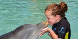 SHD TRAVEL september 8 family edition shore excursion jane fraser. Dolphin encounter and water park adventure at Atlantis REsort in the Bahamas- dolphin encounter - Hannah Haxton aged nine SUPPLIED