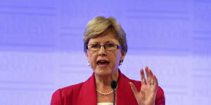 Christine Milne says it would be fair and reasonable for the Greens to block the safeguard mechanism if the party’s demands to veto new coal and gas are not met.