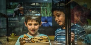 Reptiles feel the love at the Botanic Gardens'latest scaly exhibition