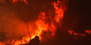 'It’s going to be a bad year':Victoria's bushfire threat looms large