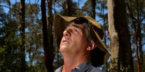 Ecologist David Lindenmayer says it’s harmful to send machinery into forests damaged by storms.