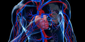 Australian researchers have for the first time discovered COVID-19 causes DNA damage to the heart,giving clues to why the diseases causes heart complications in some people.