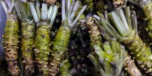 Fresh Japanese horseradish. The plant is commonly used in Japanese cuisine,usually referred to by what name?