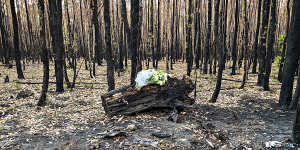 Hannah McGuire,23,was found dead in her torched car in the Ross Creek State Forest on Friday morning. Her family left flowers and a card at the site.