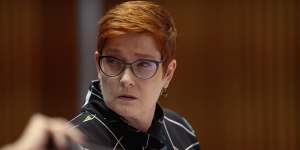 Foreign Minister Marise Payne defended the temporary ban on Australians returning from India.