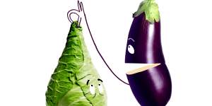 Eggplant (right),meet hispi cabbage (left). 