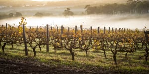 WA wineries fear China could put screws on Australian drops within months