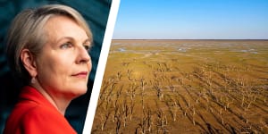 Water Minister Tanya Plibersek faces opposition to the Murray-Darling Basin Plan when she meets state ministers on February 24. 