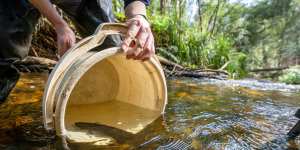 Arthur Rylah Institute staff return endangered fish and crustaceans to waterways in East Gippsland.