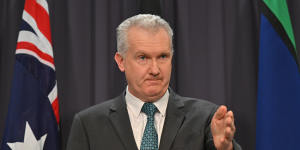 Employment and Workplace Relations Minister Tony Burke on Wednesday.