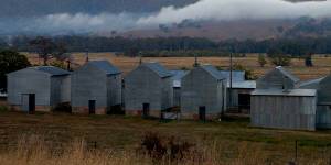 Falling down ... Tobacco sheds at Myrtleford.