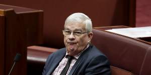 Judge orders Pauline Hanson pay $250,000 to former senator who harassed staff