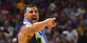 Wildcats coach fined for pushing Bogut