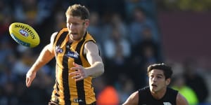 'His best role is playing as a ruckman':Ex-coach questions Hawk's move to defence