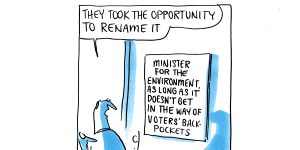 Melissa Price was dumped as environment minister in last month's reshuffle. Illustration:Matt Golding
