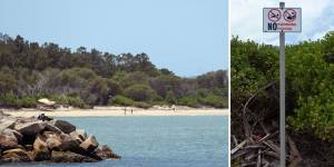 A beach next to Sydney Airport’s main runway has been closed to swimming due to PFAS 