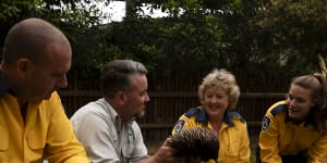 Taronga Zoo thanks bushfire personnel by opening doors for free