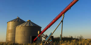 Augers are one of the most dangerous pieces of machinery on a farm.