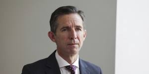 Leader of the opposition in the Senate and opposition foreign affairs spokesman Simon Birmingham.