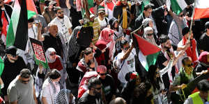 A pro-Palestine protest at Hyde Park in Sydney on Sunday. Police made one arrest at the rally,but praised the conduct of demonstrators.