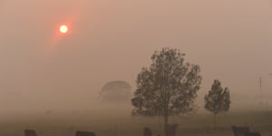 'Very poor':Sydney air quality dives due to bushfire smoke