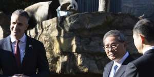 South Australian Premier Peter Malinauskas and Chinese Premier Li Qiang with giant panda Wang Wang at the Adelaide Zoo.