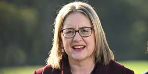 Victorian Premier Jacinta Allan has softened her view towards a pill-testing trial.