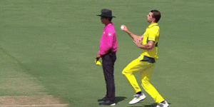 Australia v West Indies LIVE:Fraser-McGurk helps Australia beat West Indies in 6.5 overs