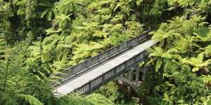The Bridge to Nowhere in the Whanganui National Park.