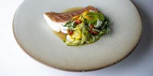 Steamed coral trout,spanner crab,zucchini and saffron. 