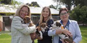 Funding for dogs’ refuge sets tails wagging