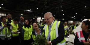 Scott Morrison made a controversial choice when he declared coriander his favourite herb.