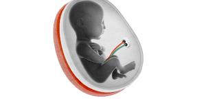 Artificial wombs and gene editing:What are the new frontiers in IVF?
