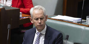 Immigration Minister Andrew Giles says the government’s deportation laws and its safeguards are “entirely appropriate”.