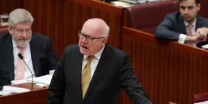 Attorney-General George Brandis attacks Pauline Hanson for wearing the burqa in the Senate.