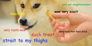 Wow such meme:doge overtook the internet in 2013.
