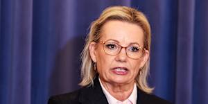 Sussan Ley said it was too soon to give specifics on how she would make the Liberal Party more appealing to female and younger voters.