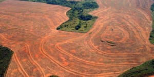 Aereal view of an area deforestated by soybean farmers in Novo Progreso,Para,Brazil,in 2004.