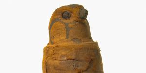 A mummified falcon dating back to 30 BCE–395 CE.