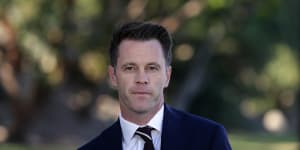 Labor's Chris Minns has criticised Transport Minister Andrew Constance's plan.