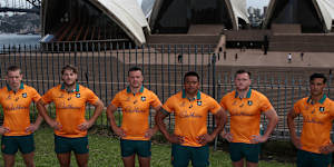 Wallabies