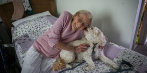 Old people’s home for ... dogs? The aged care centre where pets are a perfect fit