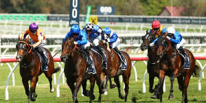 Broadsiding charges to the front in the Fernhill Handicap at Randwick last weekend.