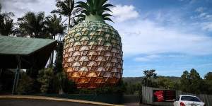 The Big Pineapple in Woombye on Queensland's Sunshine Coast.