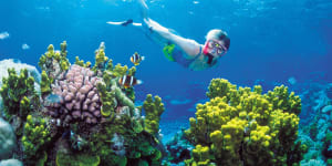 Coalition fighting to stop Great Barrier Reef being declared ‘in danger’